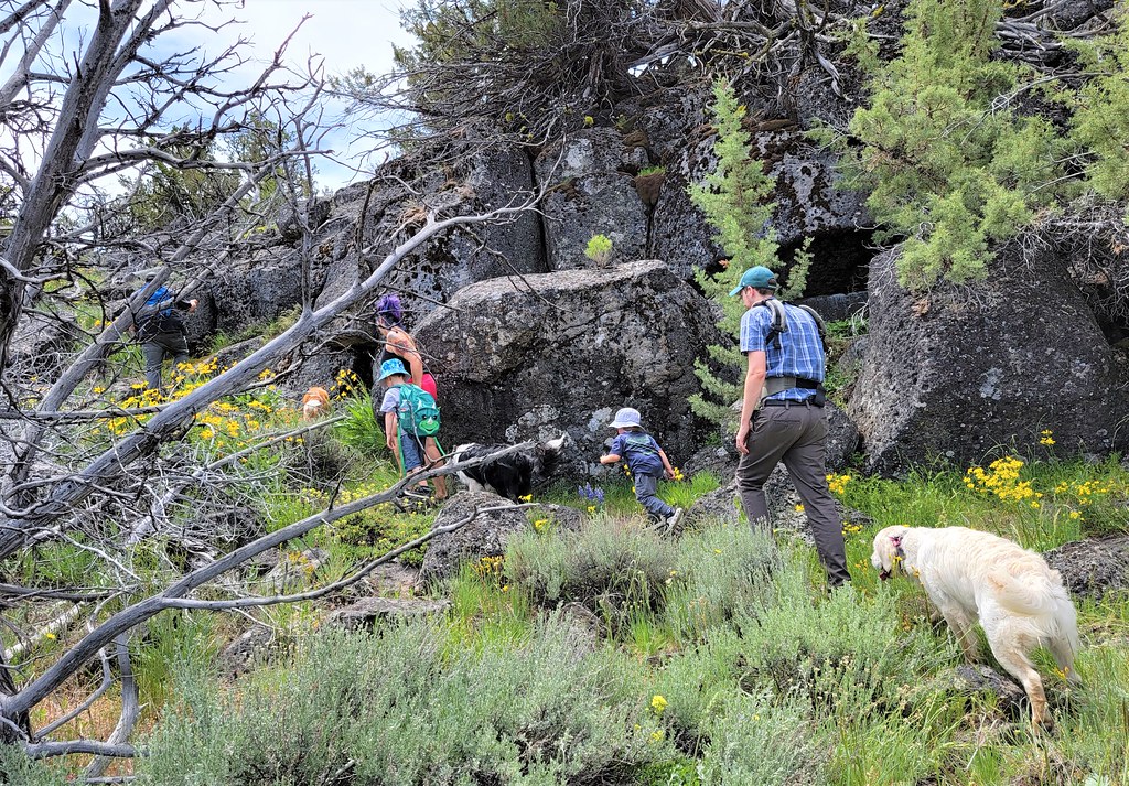 Best Dog Friendly Hikes Near Estes Park, Colorado