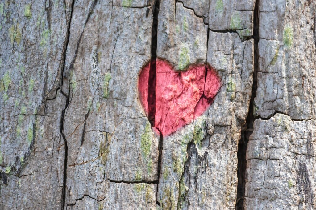 Love is in the Air