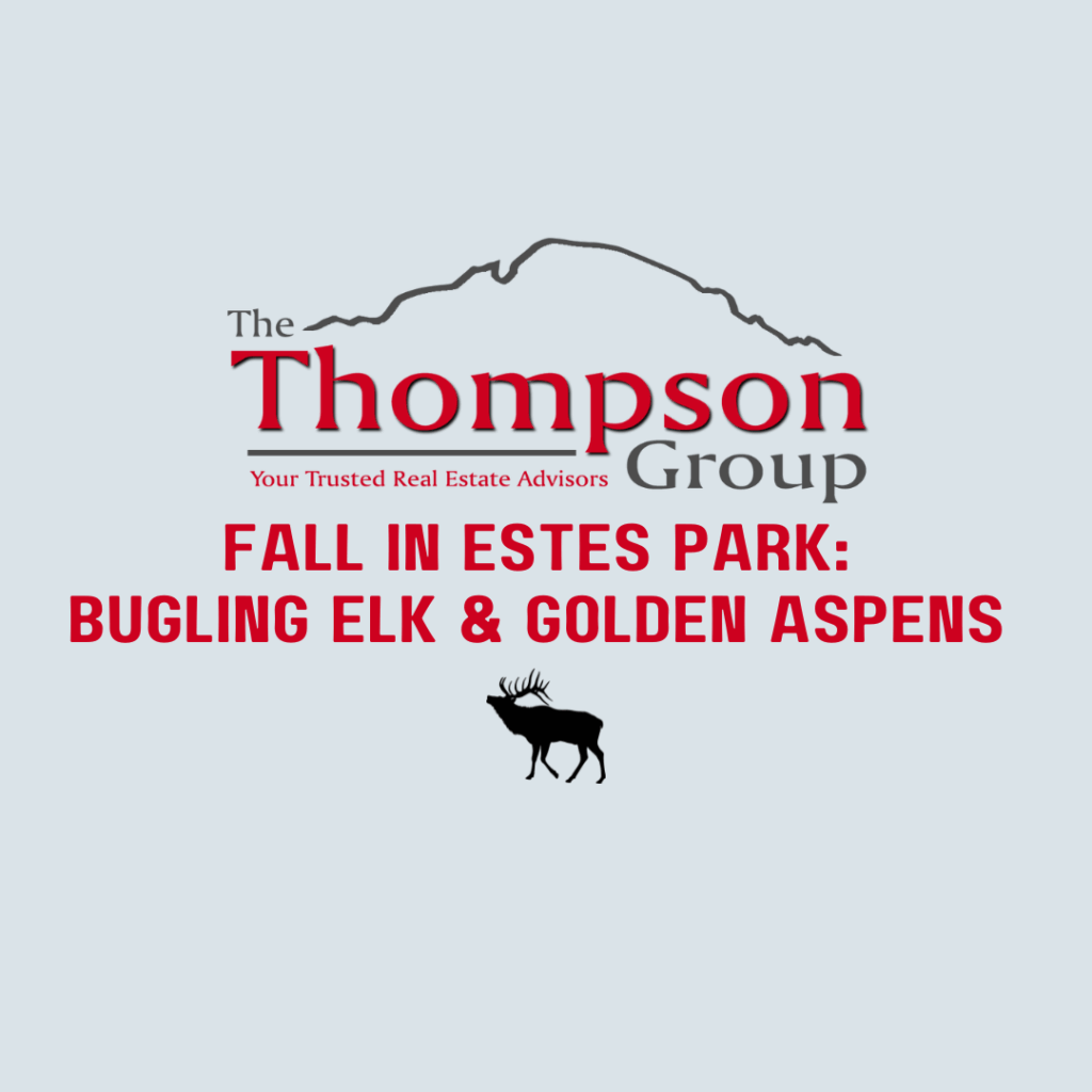 Fall in Estes Park: Bugling Elk & Golden Aspens 